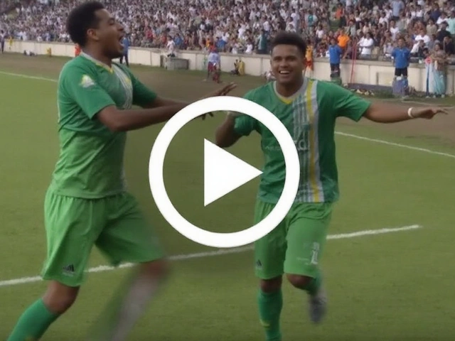 Palmeiras vs Universitario: horario, TV y cómo ver en vivo la vuelta de octavos de la Copa Libertadores