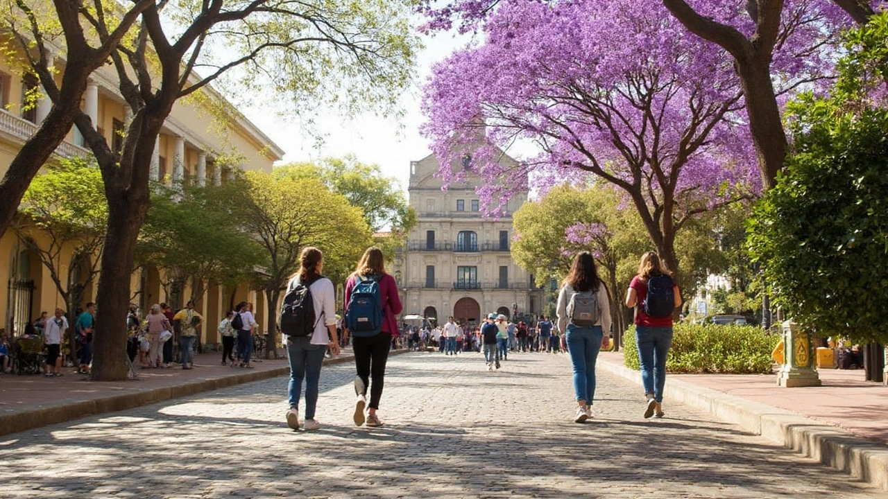 Clima Puebla: así será el miércoles 12 de febrero de 2025